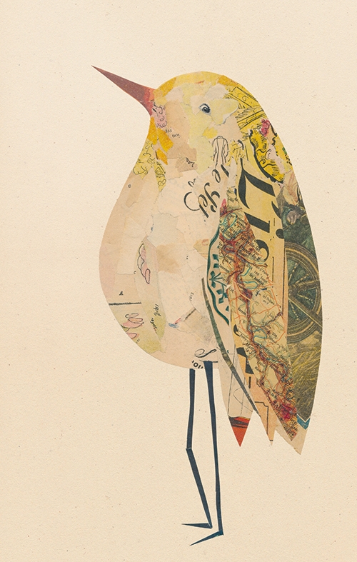 oiseaux-collage-valentine hebert- oiseaux-collage-valentine hebert-