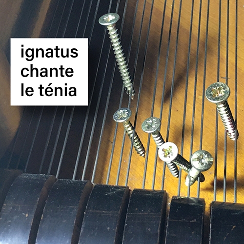 cd ignatus le tenia